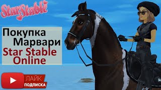 Покупка Марвари в Star Stable Online | Пегая масть | Marwari