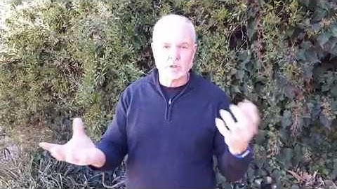 Introduction to Communication Research Strategies COM224 2017