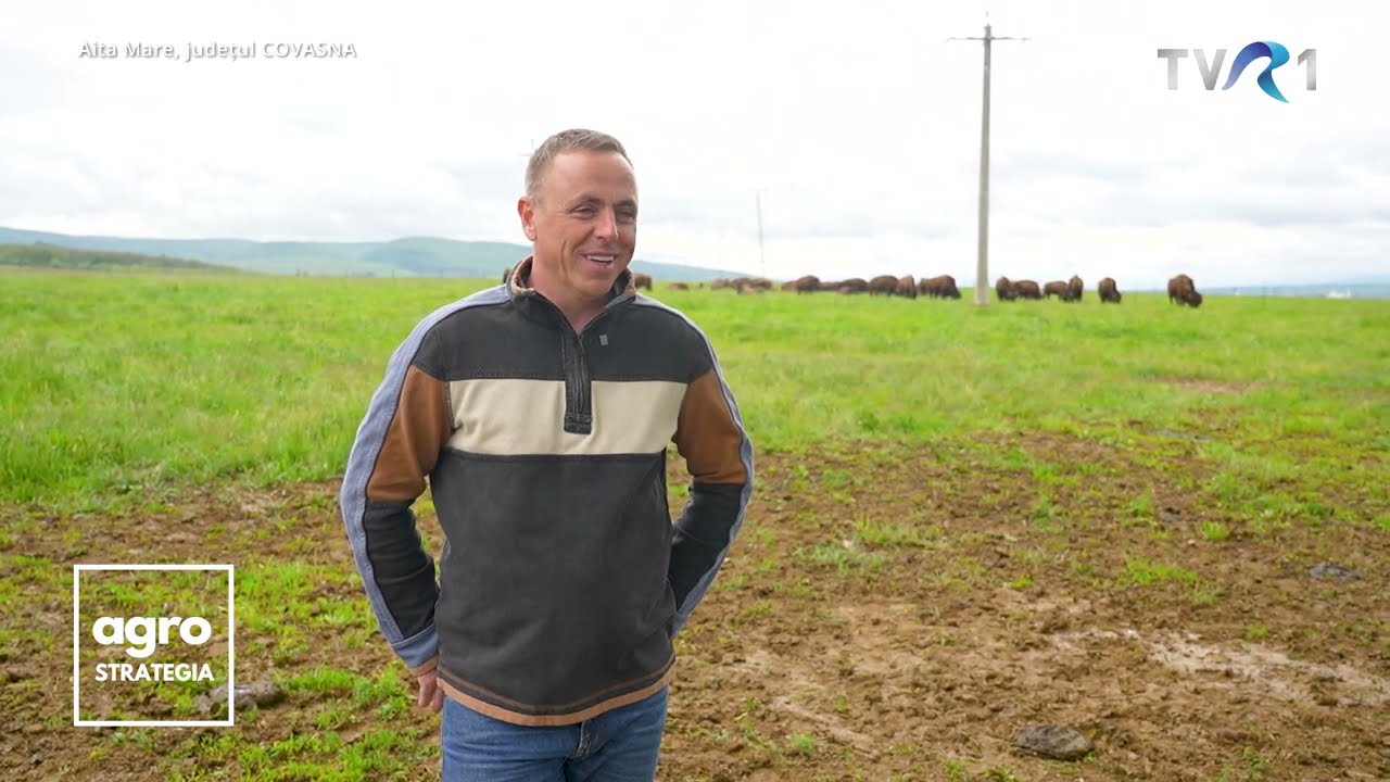 Ferma de bizoni înființată de un antreprenor cu banii câștigați în Marea Britanie