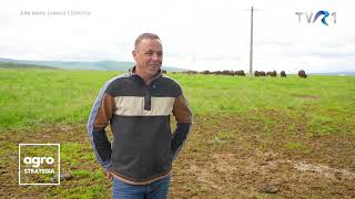 Ferma De Bizoni Înființată De Un Antreprenor Cu Banii Câștigați În Marea Britanie