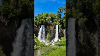 Sanctuary of Serenity: The Forest River