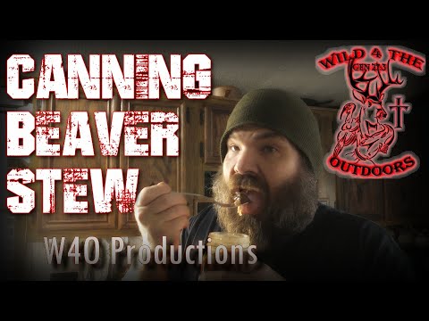 Canning Beaver Stew