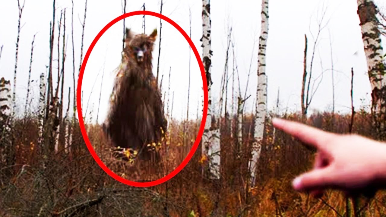 ��������� ���������� ���� �������� ������� � ��������� ������ ���������