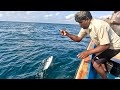 Catching Queen Fish, Needle Fish &amp; Snowy Grouper in the Sea