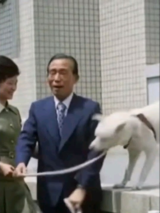 박정희를 물려고 달려든 진돗개의 최후