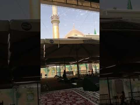 زيارة السيدة حكيمة عليها السلام في يوم الأحد الموافق 22 9 2024