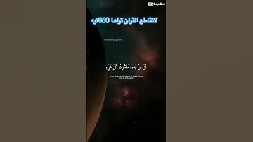 لا تقاطع القرأن إنها 60 ثانية فقط #اكسبلور #قرآن #قران_كريم #تلاوة_خاشعة #راحة_نفسية #راحة