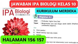 Kunci Jawaban IPA Biologi Kelas 10 Halaman 156 157 Kegiatan 3.1 BAB 3 Kurikulum Merdeka