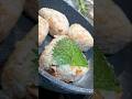 Grilled rice ball with salmon and shiso leaves #shorts