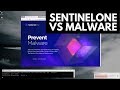 SentinelOne Review | Tested vs Malware