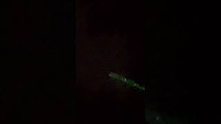 Did It Respond? UAP Sighting Recorded in Real Time (Michigan)
