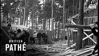 Newfoundland Lumberjacks Here  (1940)