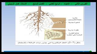 #المحاضرة1_الفصل السابع #تلاؤم النبات مع البيئة_الرابع العلمي_عمار الزويني