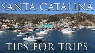 Exploring Santa Catalina Island, California: Top Attractions & Hidden Gems | Travel Guide