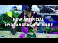 How artificial hydrangeas are made artificial flower factory in china