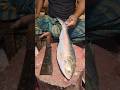 Big Hilsa Fish Cutting Skills/ Fish Cutting Slicing By Expert Fish Cutter #shorts&amp;
