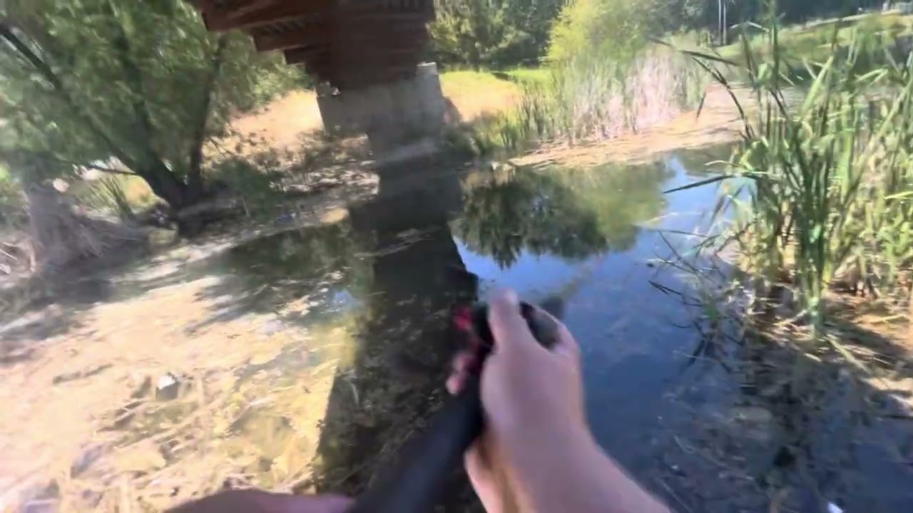 Bass fishing at Micke Grove park May 23rd 2025