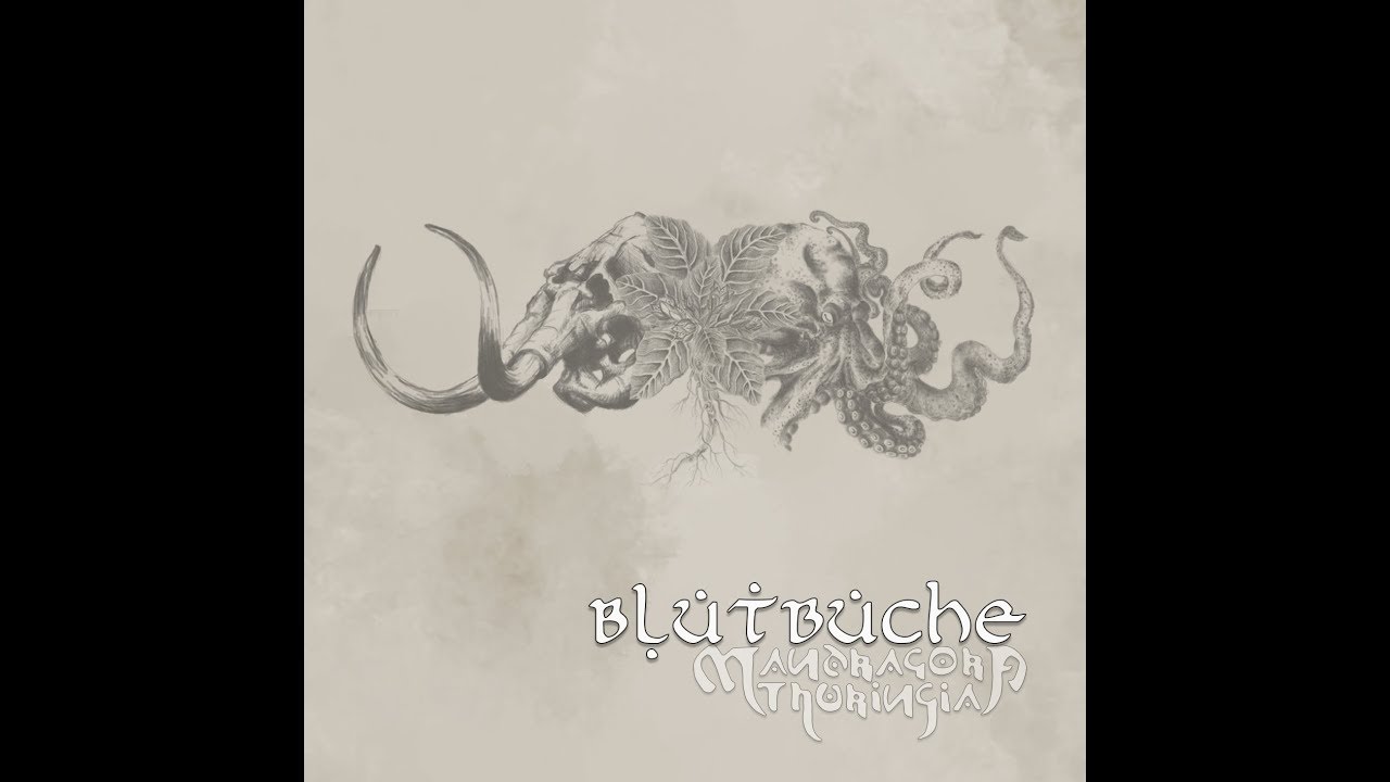 MANDRAGORA TITANIA- Blutbuche (Official Lyric Video)