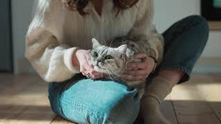 Whiskas Purr More Reklamı - The Brand Planet