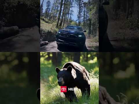 Lo indomable de la naturaleza