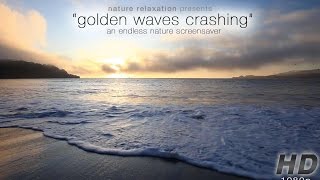 "Golden Waves Crashing at Sunset" Endless Looping Nature Video1080p