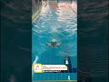 Swimming School in China | ACAMIS Senior Swimming Championship at Wellington College Shanghai