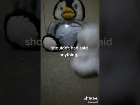 Donald f up xd
