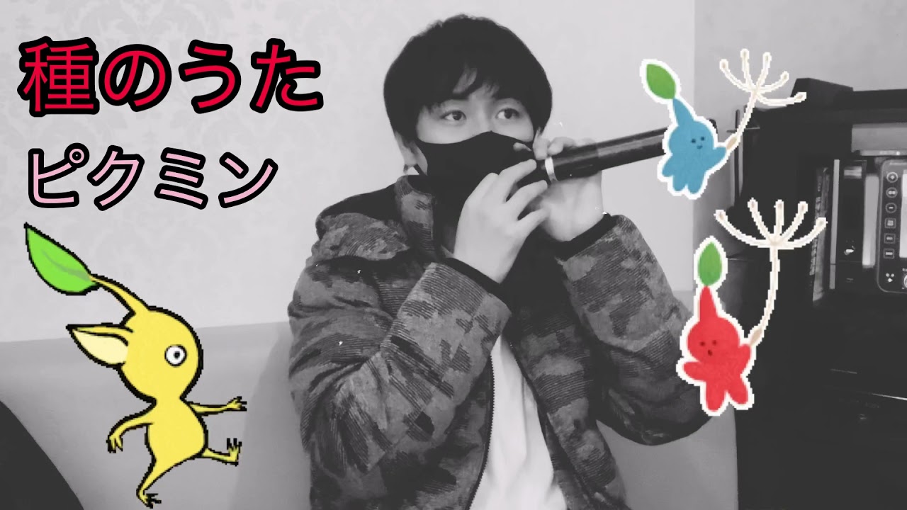 ピクミン 愛のうた 種のうた Lyrics Cover Eichan Youtube