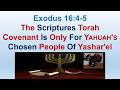 The Scriptures Torah Covenant Is Only For Yahuah's Chosen People Of Yashar'el - Exodus 16:4-5
