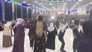 Pınar Karataş  -   Siirt düğünü Resimi