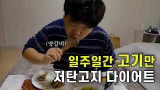 일주일간 기적의 저탄고지 다이어트로 비만 탈출하기