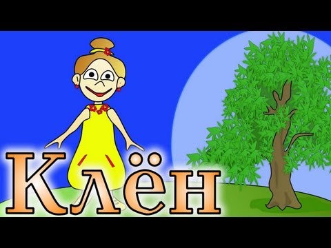 Гороскоп Друидов ! Человек -КЛЁН.