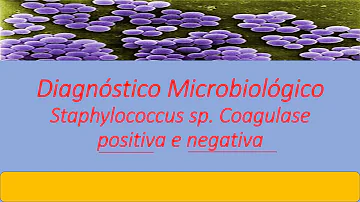 Como é o teste de coagulase?