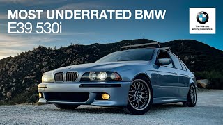 The MOST Underrated BMW... the E39 530i, Here's Why!