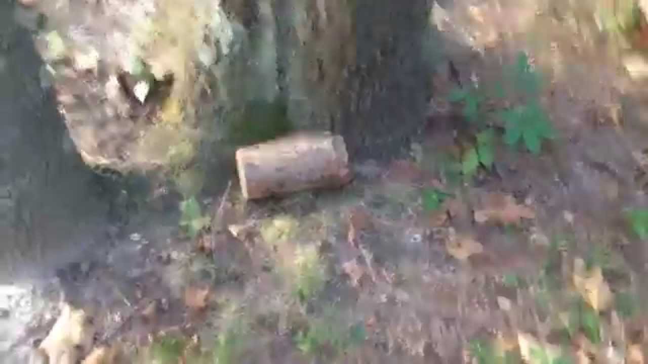 Cool Log Cache!