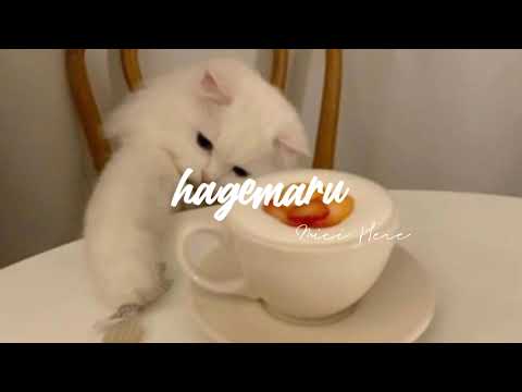 hagemaru - atmosfera || speed up