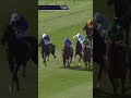 Haffner wins the Royal Lodge ✅