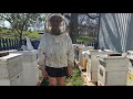 Homestead beekeeping: How to get your colony set up for spring!