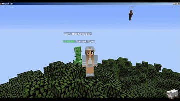 How To Get To The Tipy-Top Of The Mineplex Spawn Tree!?!?