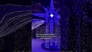 Enchant Christmas light maze and village opens at Nats Park in Washington, D.C. screenshot 5