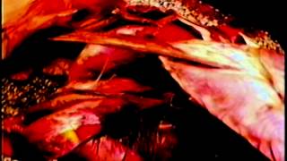 Pvrush - 冤罪Enzai