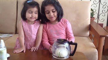 The curious case of Unicorn Egg hatching - Part 2!