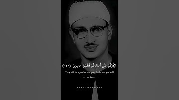 يَا أَيُّهَا الَّذِينَ آمَنُوا إِن تُطِيعُوا  محمد صديق المنشاوي  سورة آل عمران   سـبأ  𝐒𝐚𝐛𝐚 720