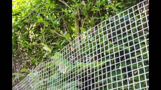 Maschendraht Drahtgitter Volierendraht Niederberg Metall