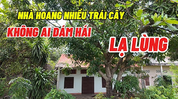 LẠ LÙNG Ngôi Nhà Hoang Trong Vườn Nhiều Trái Cây Nhưng Không Ai Dám Hái Vì Lí Do Này