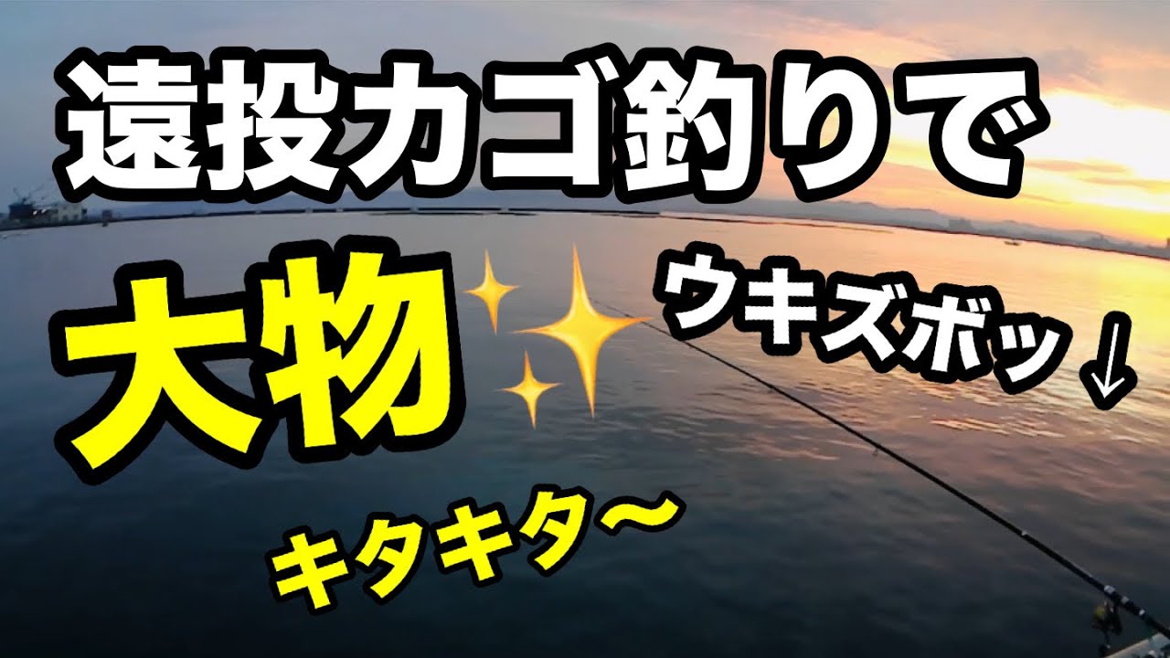 初心者でも大物が狙える遠投カゴ釣りの仕掛けとタナはコレ！