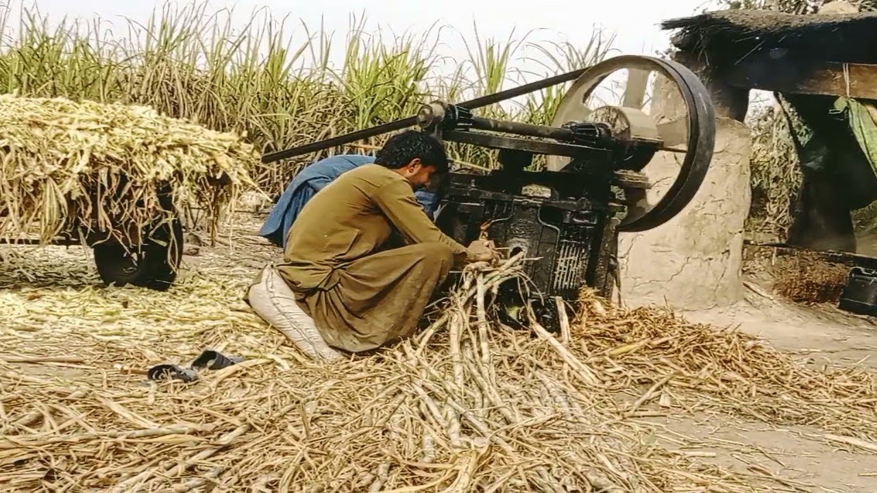 This Method of Making Sugarcane Juice Is Insane! 🤯
