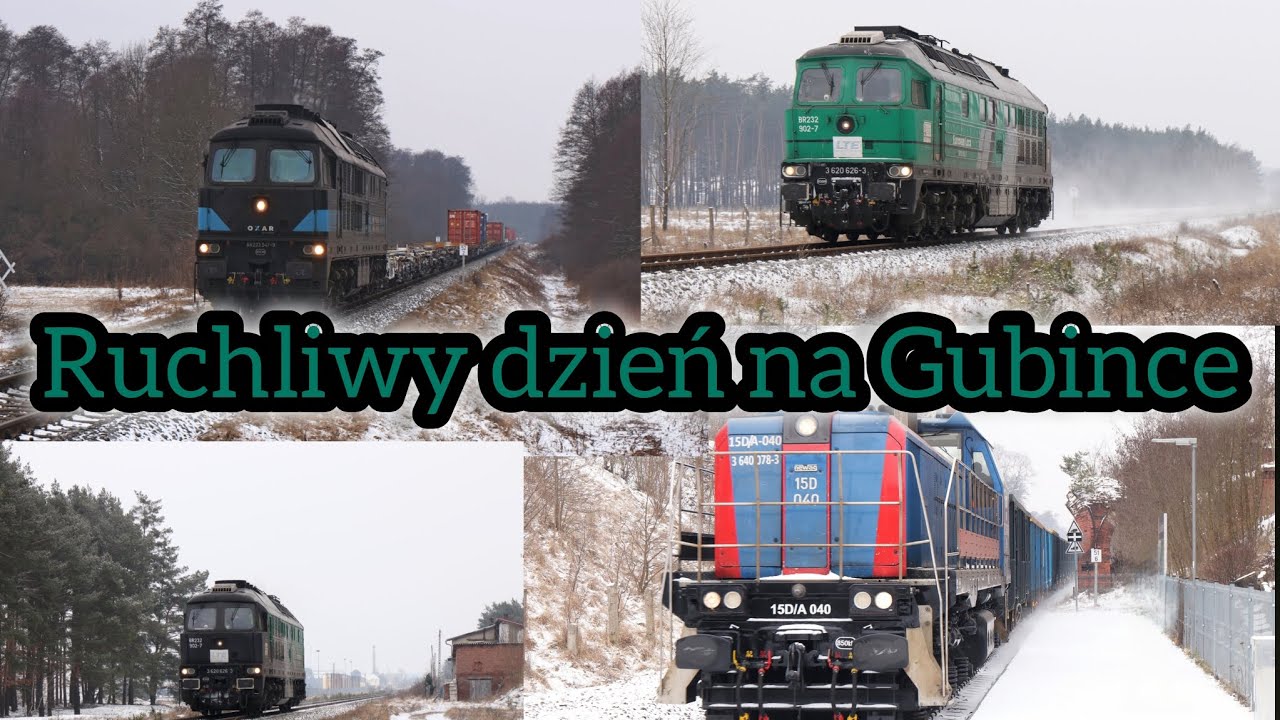 Ruchliwy dzień na Gubince 