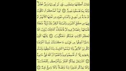 سورة البقرة من الآية (261) إلى الآية (266)