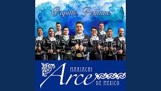 Video thumbnail of "Mariachi Arce de México - Por Amor"